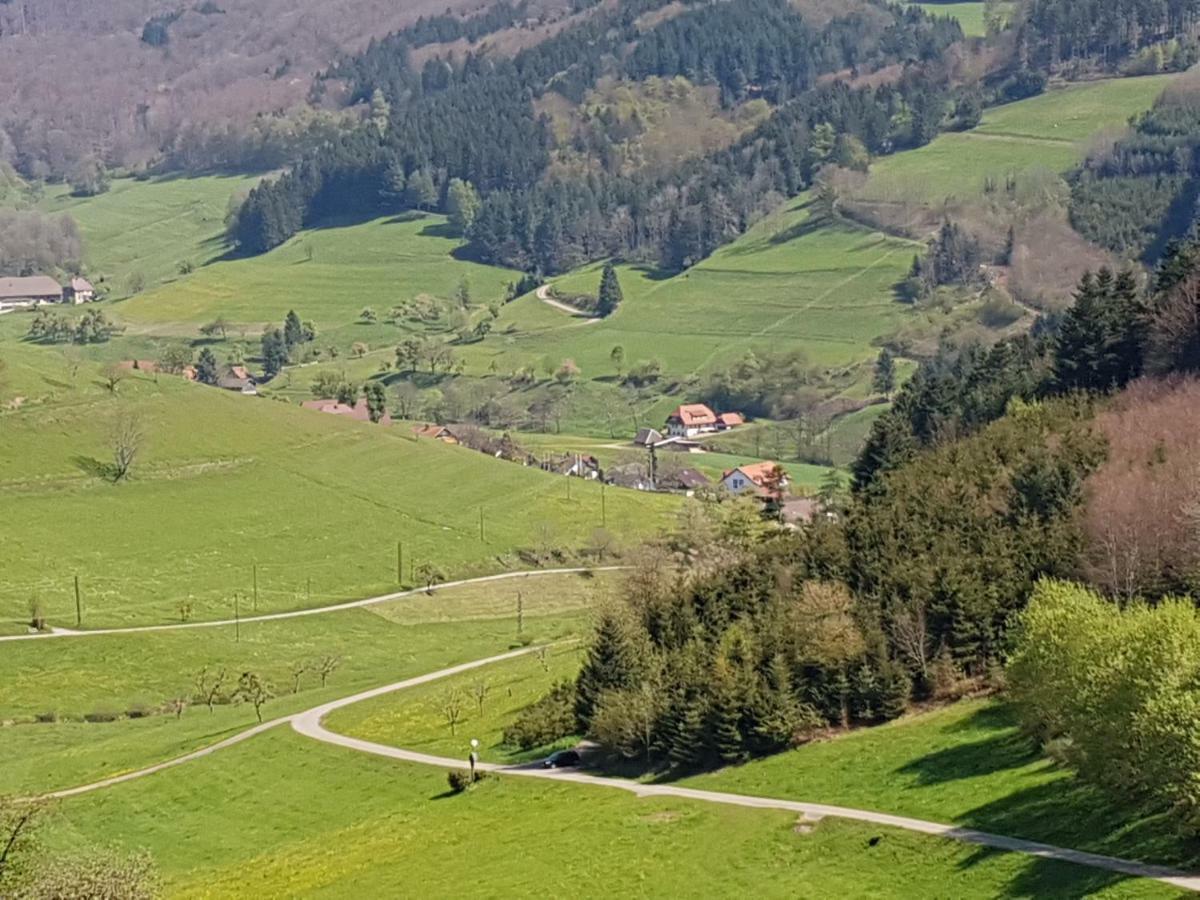 Ferienwohnung Am Siegelbaechle Mit E-Bikes Vermietung Gutach im Breisgau Zewnętrze zdjęcie
